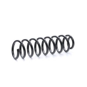 Coil Spring - RIDEX 188C0312