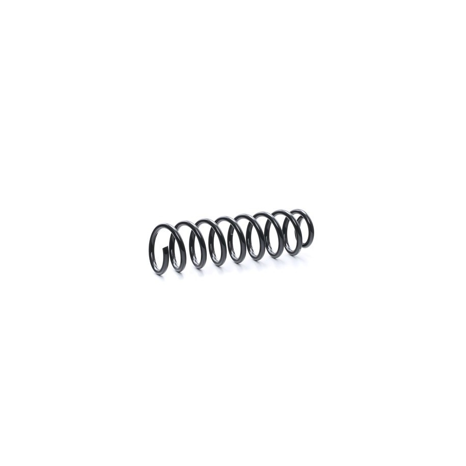 Coil Spring - RIDEX 188C0312