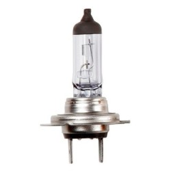 Halogen Bulb - 12v 55w H7 Px26d - Headlamp