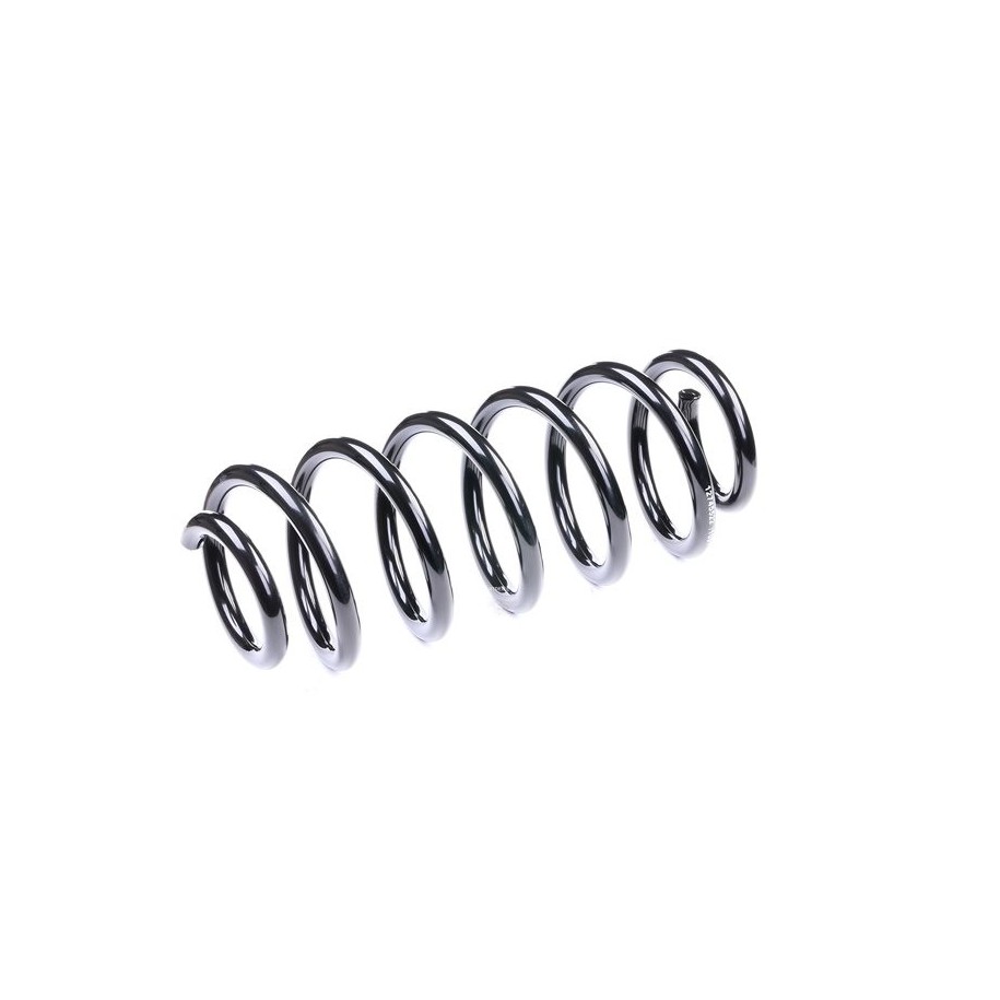 Coil Spring - RIDEX 188C0424