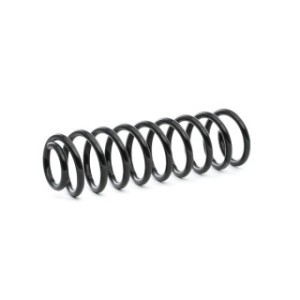 Coil Spring - RIDEX 188C0494