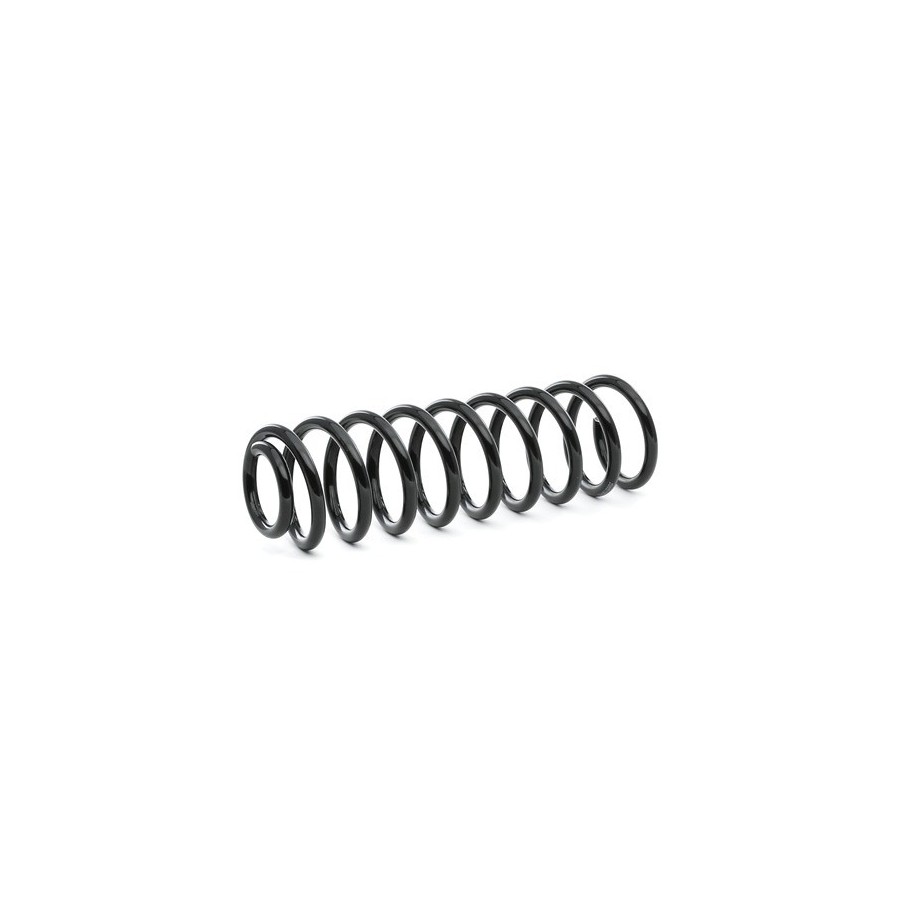 Coil Spring - RIDEX 188C0494