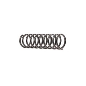 Coil Spring - RIDEX 188C0534