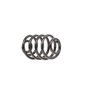 Coil Spring - RIDEX 188C0970