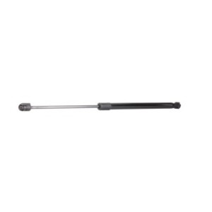 Tailgate Strut - RIDEX 219G0002