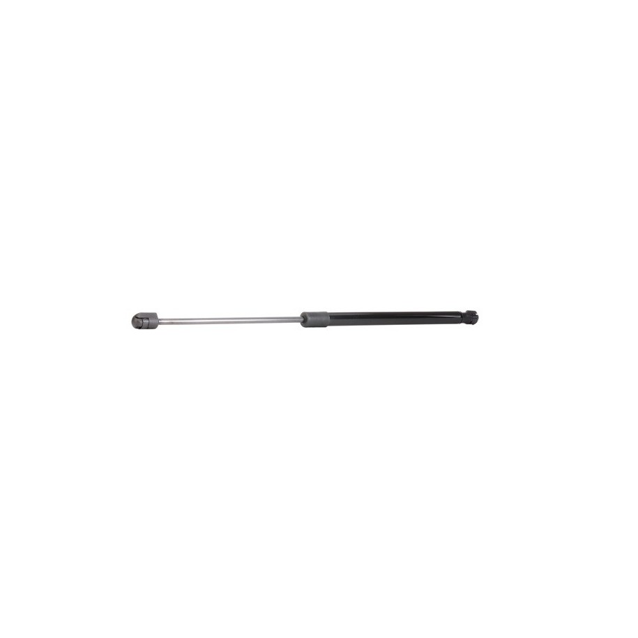 Tailgate Strut - RIDEX 219G0002