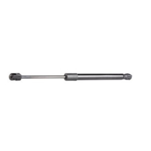 Tailgate Strut - RIDEX 219G0003