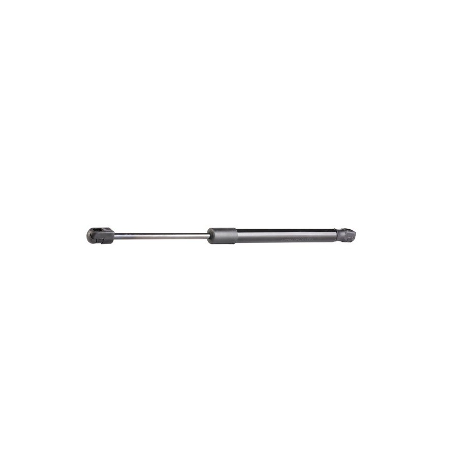 Tailgate Strut - RIDEX 219G0003