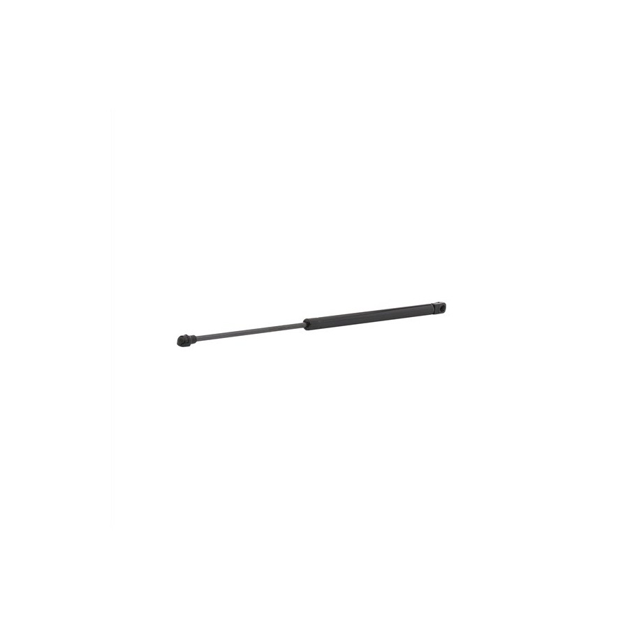 Tailgate Strut - RIDEX 219G0004
