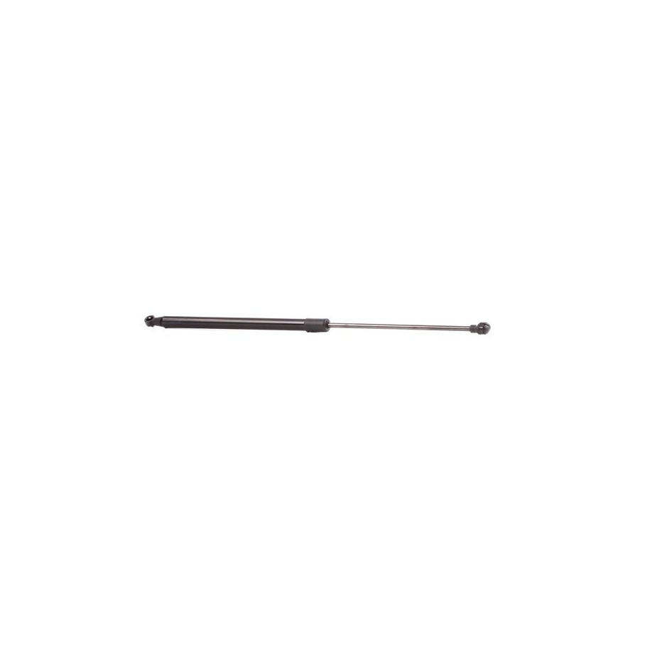 Tailgate Strut - RIDEX 219G0005