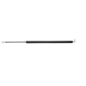 Tailgate Strut - RIDEX 219G0013