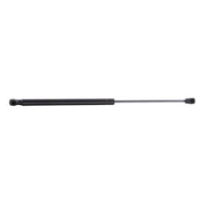 Tailgate Strut - RIDEX 219G0014