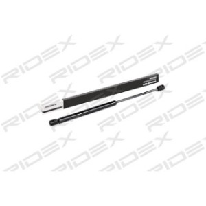 Tailgate Strut - RIDEX 219G0018