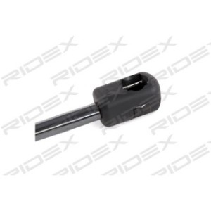 Tailgate Strut - RIDEX 219G0018