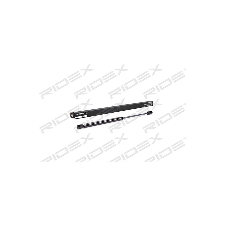 Tailgate Strut - RIDEX 219G0019