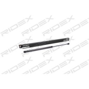 Tailgate Strut - RIDEX 219G0021