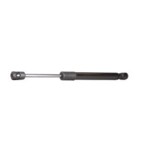Tailgate Strut - RIDEX 219G0028