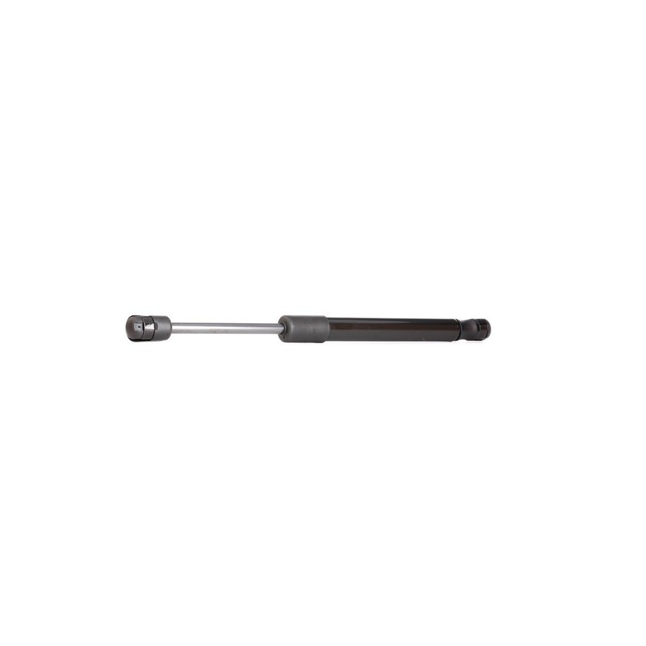 Tailgate Strut - RIDEX 219G0028