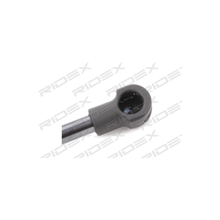 Tailgate Strut - RIDEX 219G0033