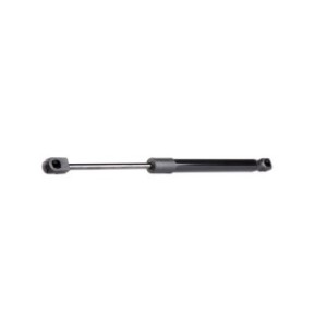 Tailgate Strut - RIDEX 219G0037