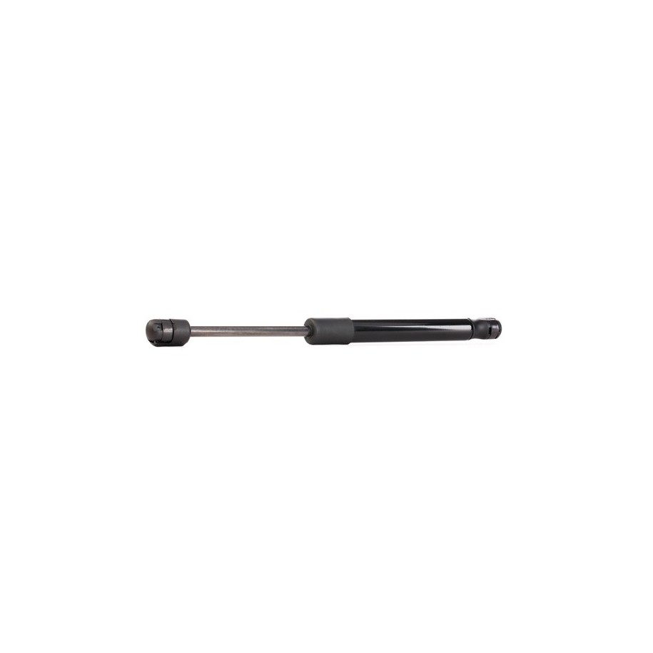 Tailgate Strut - RIDEX 219G0039
