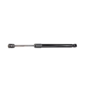 Tailgate Strut - RIDEX 219G0042
