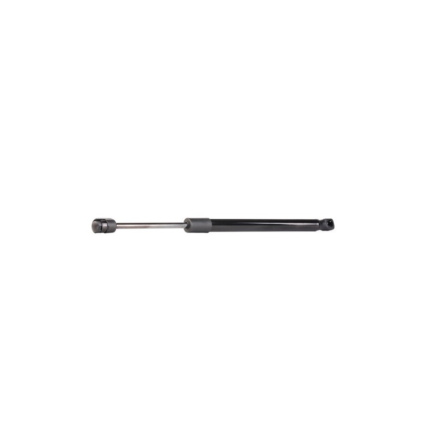 Tailgate Strut - RIDEX 219G0042