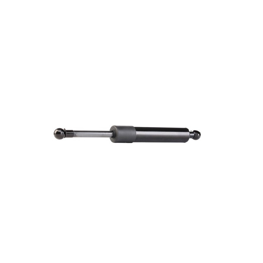 Tailgate Strut - RIDEX 219G0045