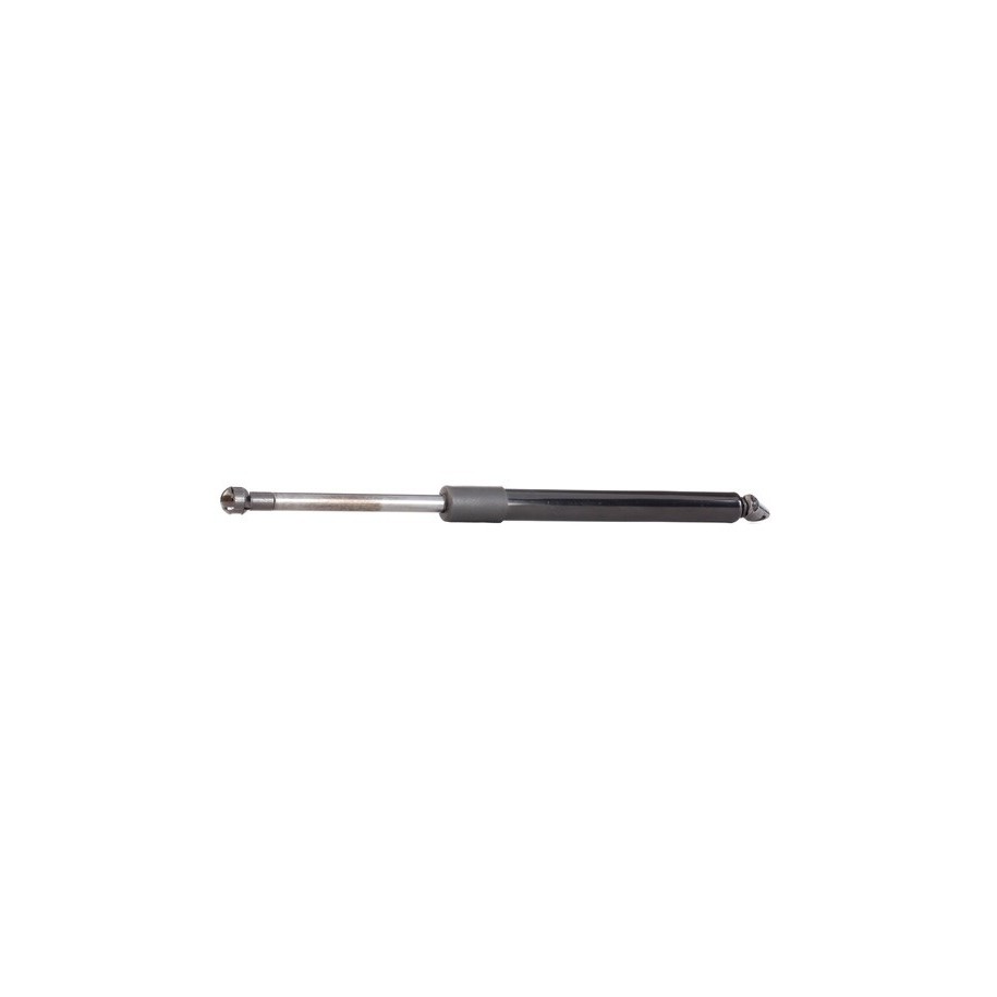Tailgate Strut - RIDEX 219G0059