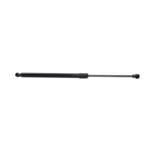 Tailgate Strut - RIDEX 219G0060