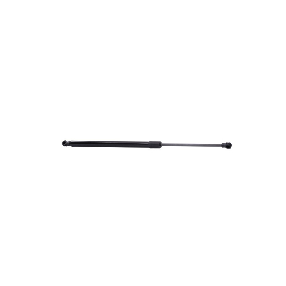 Tailgate Strut - RIDEX 219G0060