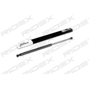 Tailgate Strut - RIDEX 219G0060