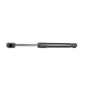 Tailgate Strut - RIDEX 219G0061