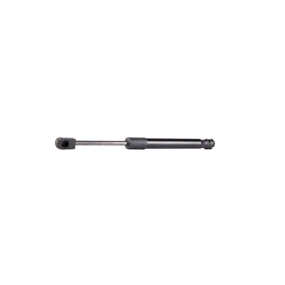 Tailgate Strut - RIDEX 219G0061