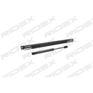 Tailgate Strut - RIDEX 219G0061