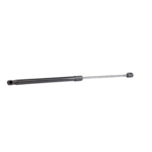 Tailgate Strut - RIDEX 219G0062