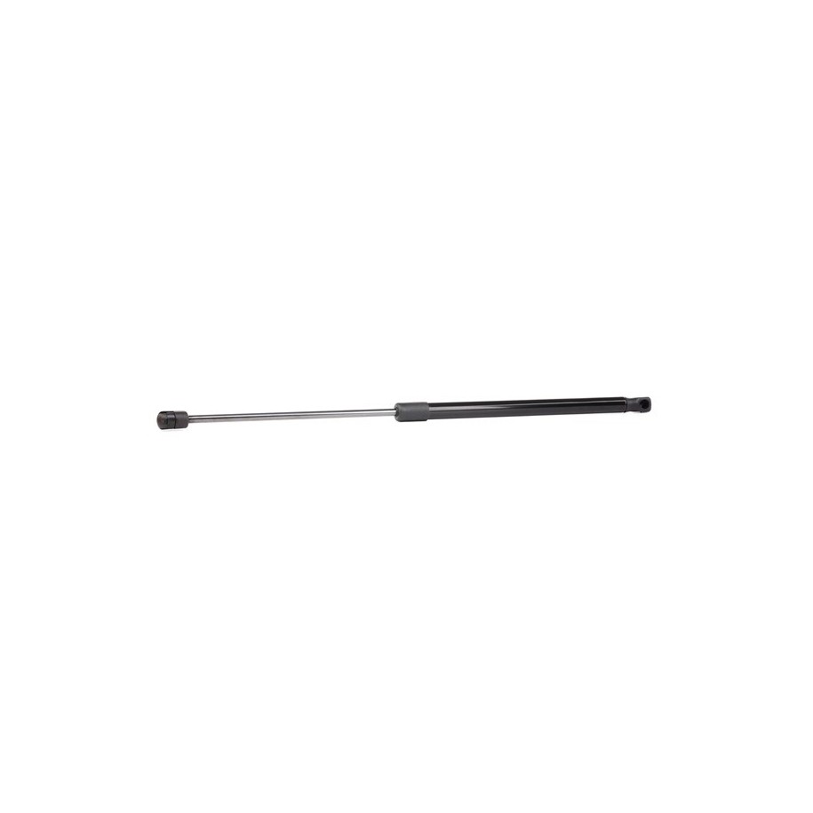 Tailgate Strut - RIDEX 219G0063