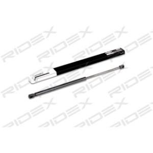 Tailgate Strut - RIDEX 219G0063