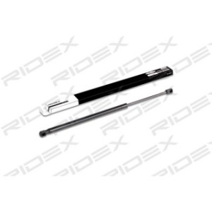 Tailgate Strut - RIDEX 219G0065