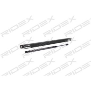 Tailgate Strut - RIDEX 219G0066