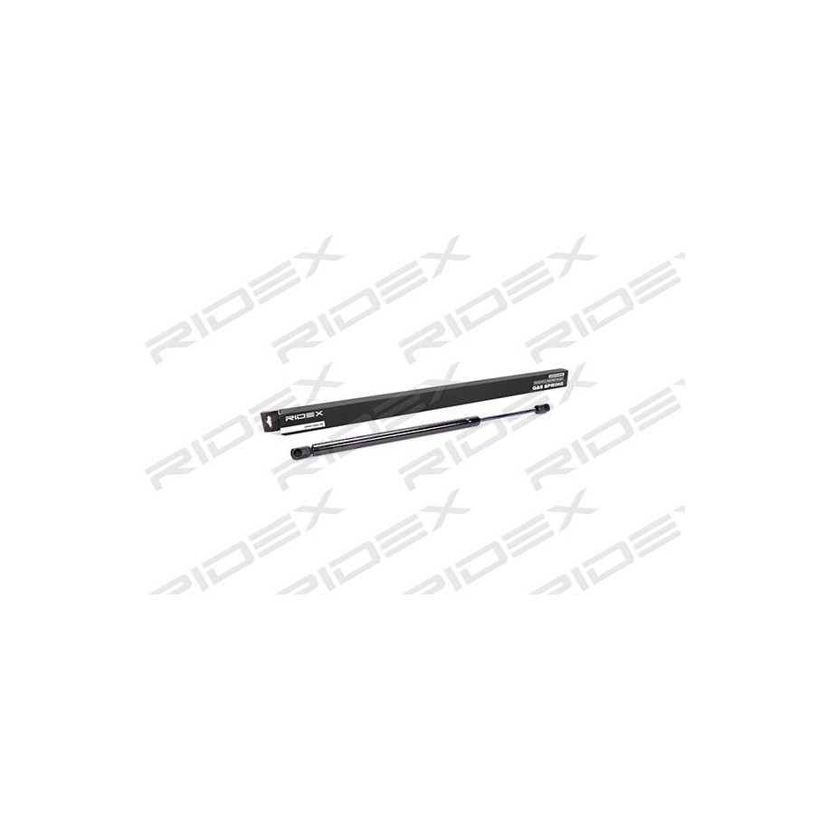 Tailgate Strut - RIDEX 219G0066