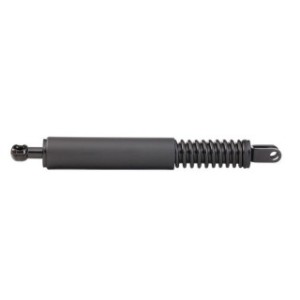 Tailgate Strut - RIDEX 219G0068