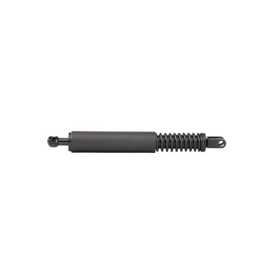 Tailgate Strut - RIDEX 219G0068