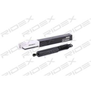 Tailgate Strut - RIDEX 219G0068