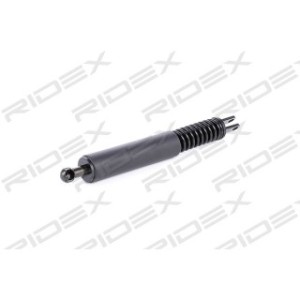 Tailgate Strut - RIDEX 219G0068