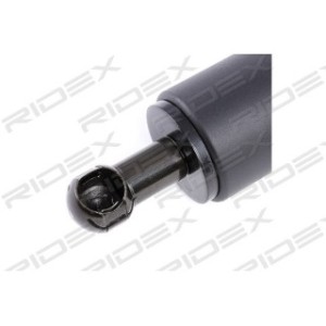 Tailgate Strut - RIDEX 219G0068
