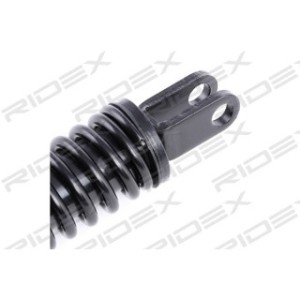 Tailgate Strut - RIDEX 219G0068