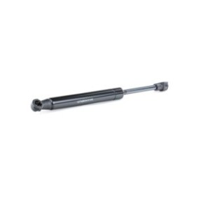 Tailgate Strut - RIDEX 219G0070