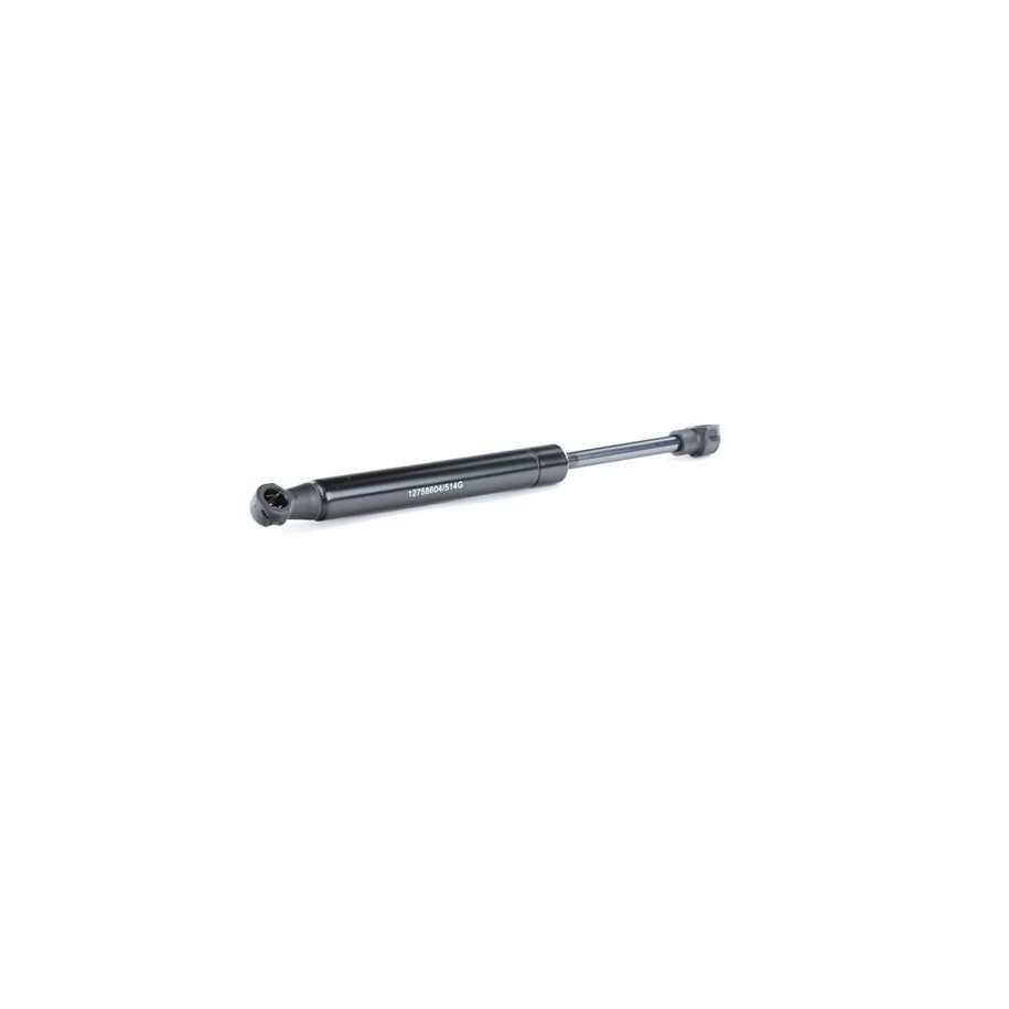 Tailgate Strut - RIDEX 219G0070