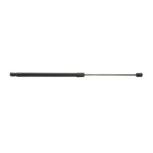 Tailgate Strut - RIDEX 219G0073